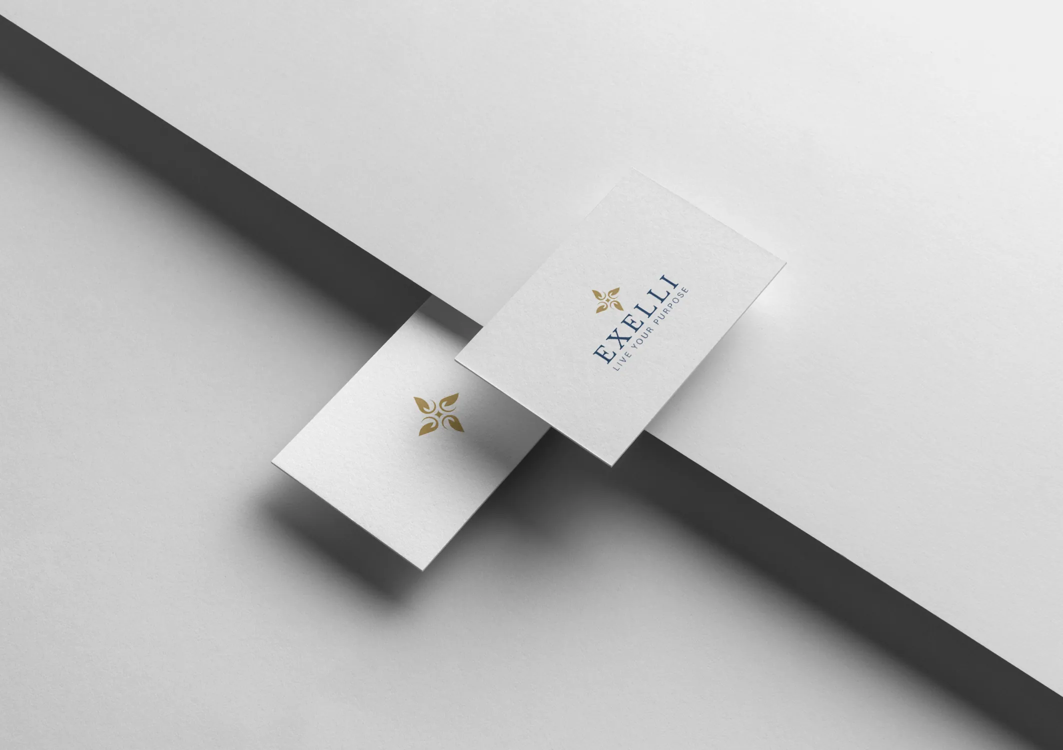 Exelli brand identity 2